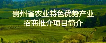 贵州省农业特色优势产业招商推介项目简介